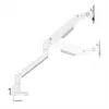 Soporte de monitor Neomounts DS70-250WH2 17-32
