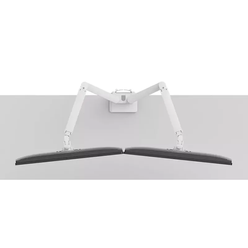Soporte de monitor Neomounts DS70-250WH2 17-32