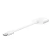 Adaptador de carga BELKIN Rockstar 3,5 mm Audio + USB-C Blanco