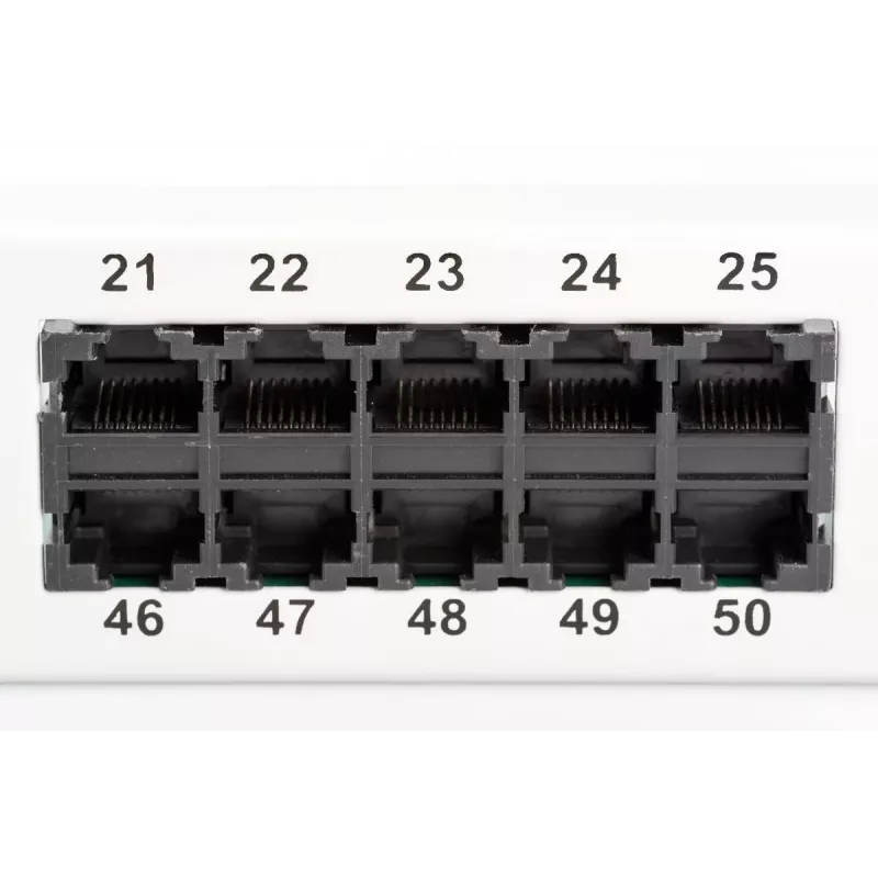 DIGITUS CAT 3 ISDN panel de parcheo, no apantallado 50 puertos RJ45, 8P4C, LSA, 1U, montaje en rack, color gris RAL 7035