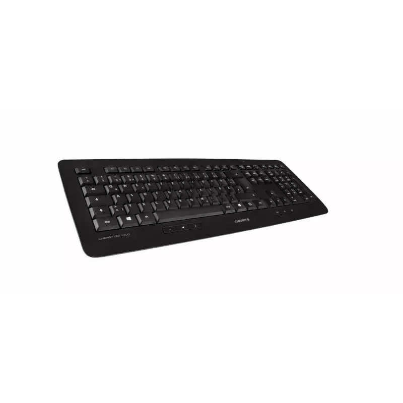 CHERRY DW 5100 teclado ratón incluido universal RF Wireless QWERTZ alemán negro