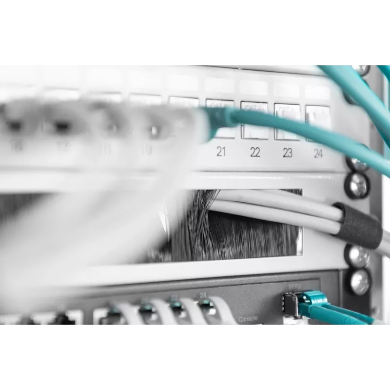 Panel de gestión de cables con cepillo DIGITUS 1U 44x483x11 mm, tamaño del cepillo 27x423 mm, color gris (RAL 7035)