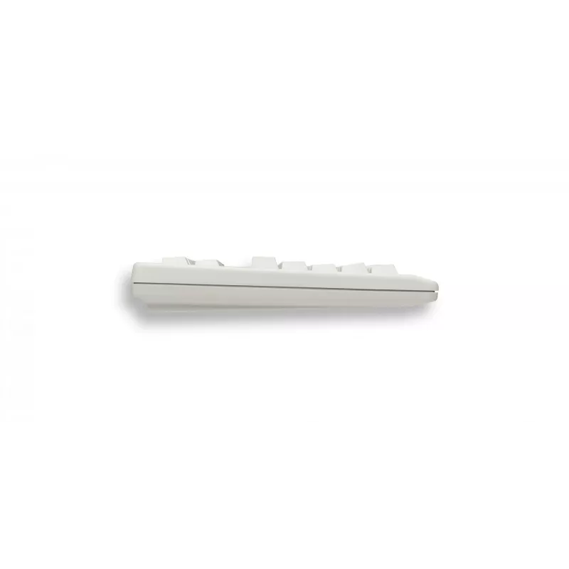 Teclado CHERRY TouchBoard G80-1190 Universal USB QWERTZ Alemán Gris