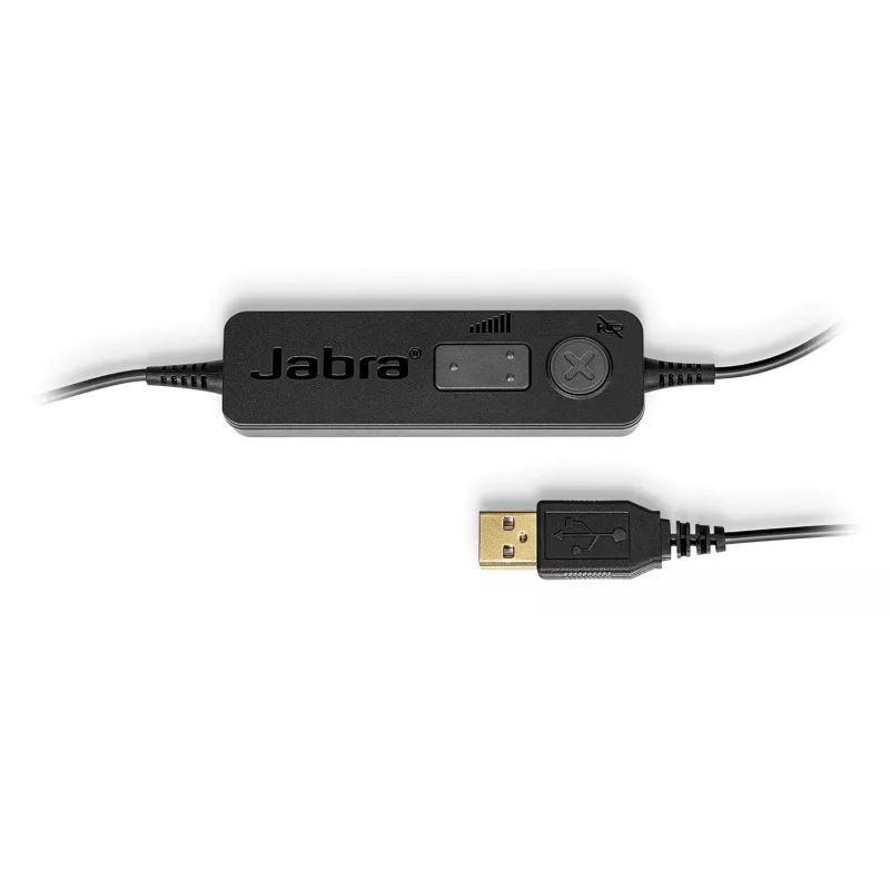 Auriculares Jabra BIZ 1100 EDU DUO USB