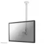 Soporte de techo para monitor/TV Neomounts FPMA-C100WHITE 10-30