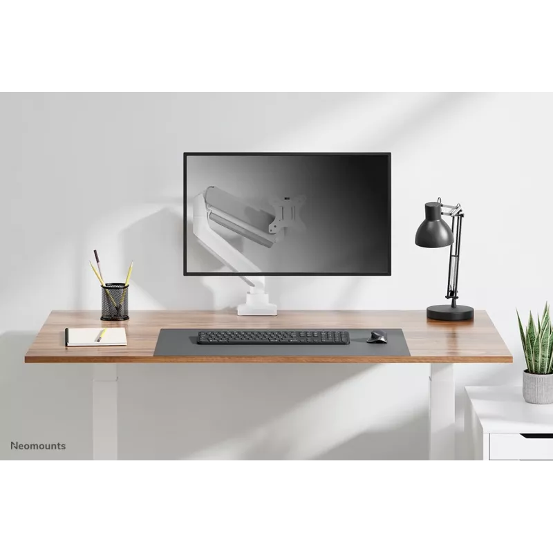 Brazo para monitor Neomounts DS70-450WH1 17-42