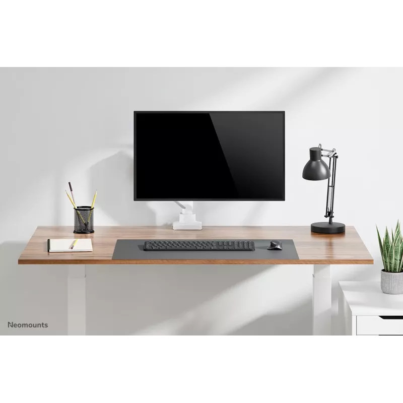 Brazo para monitor Neomounts DS70-450WH1 17-42