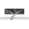 Brazo para monitor Neomounts DS70-250SL2 17-32