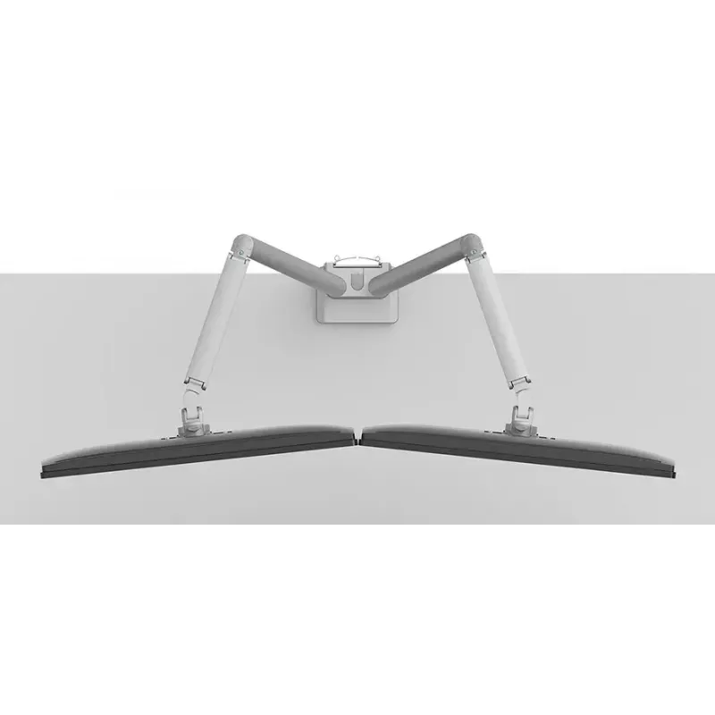 Brazo para monitor Neomounts DS70-250SL2 17-32