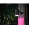 Lámpara colgante inteligente Philips Hue White and Colour Ambience Lily Outdoor Spot Light 1741430P7