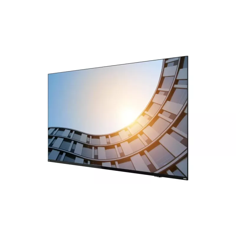 Lenovo ThinkVision E65 LFD Monitor de ordenador 163,8 cm (64,5 pulgadas) 3840 x 2160 píxeles 4K Ultra HD LCD Negro