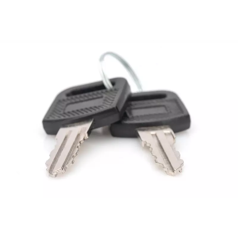 Llave de cierre para carcasas de pared DIGITUS DN-KEY-WM — Serie Dynamic, Serie SOHO 10 pulgadas y 19 pulgadas, Armarios de carga (2 uds.)
