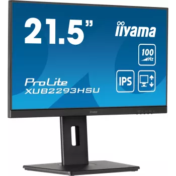 iiyama ProLite XUB2293HSU-B7 Monitor de ordenador 54,6 cm (21,5