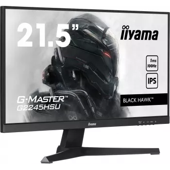 iiyama G-MASTER G2245HSU-B2 Monitor de ordenador 54,6 cm (21,5