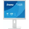 iiyama ProLite B1980S-W1 Monitor de ordenador 48,3 cm (19