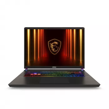 Portátil MSI Vector 17 HX AI A2XWJG-039 17