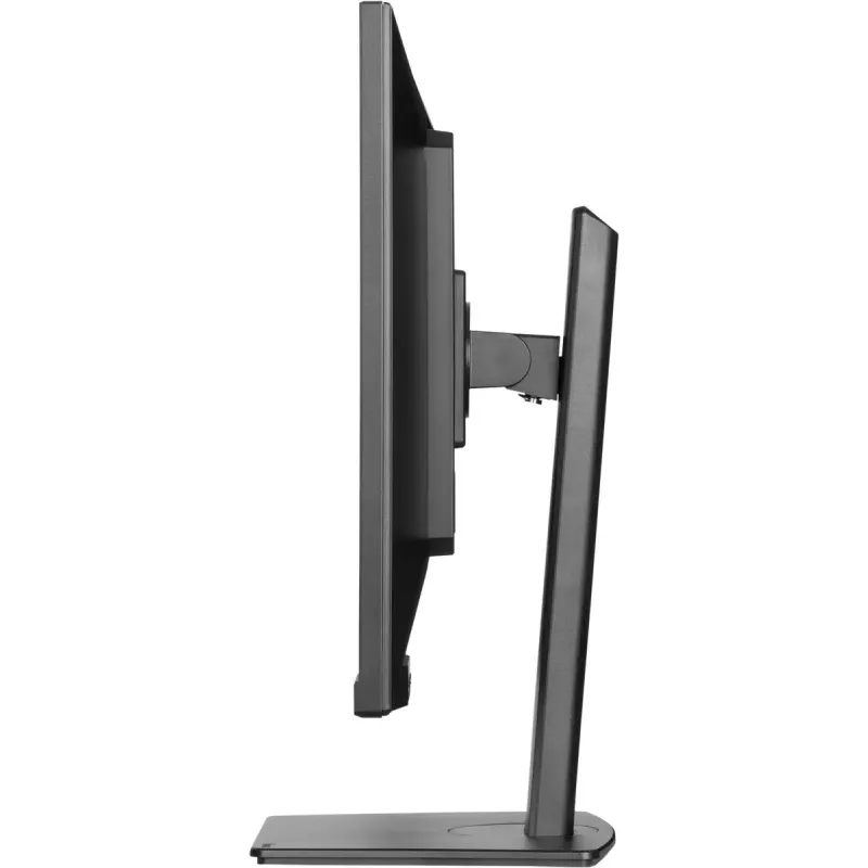 Monitor iiyama ProLite XUB3297QSNP-B1 81,3 cm (32