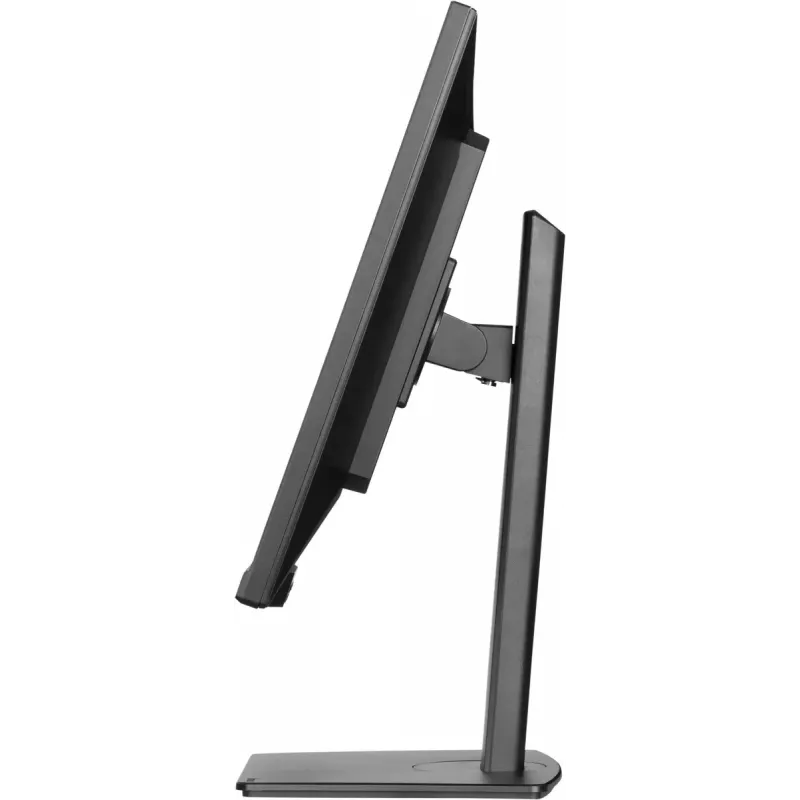 Monitor iiyama ProLite XUB3297QSNP-B1 81,3 cm (32
