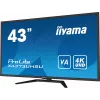 iiyama ProLite X4373UHSU-B1 Monitor de ordenador 108 cm (42,5 inch) 3840 x 2160 píxeles 4K Ultra HD Negro