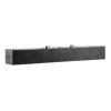 HP S101 barra de altavoz negra