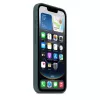 Funda de silicona Apple iPhone 16e Lake verde