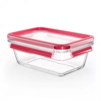 EMSA CLIP & CLOSE N10408 Caja rectangular 0,85 l Transparente 1 unidad