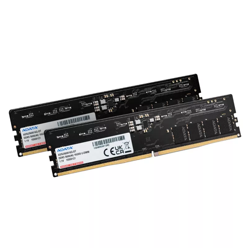 ADATA AD5U560032G-DT Módulo de memoria 64 GB 2 x 32 GB DDR5 288-Pin DIMM