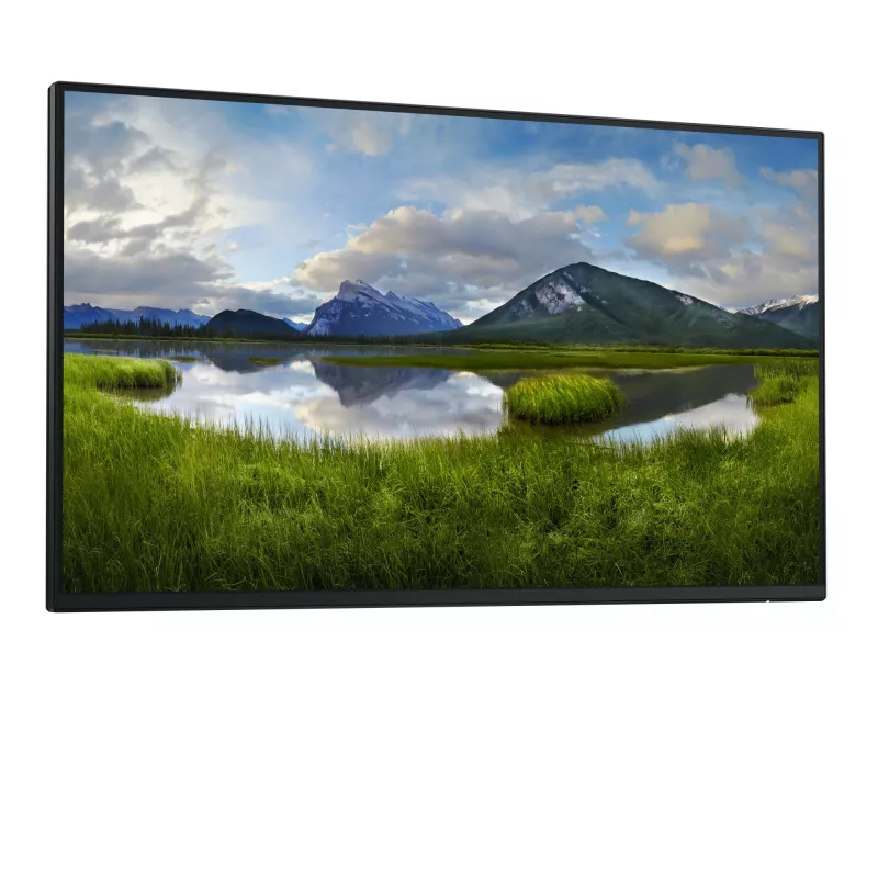 DELL Pro Plus P2425H_WOST Monitor de ordenador 61 cm (24