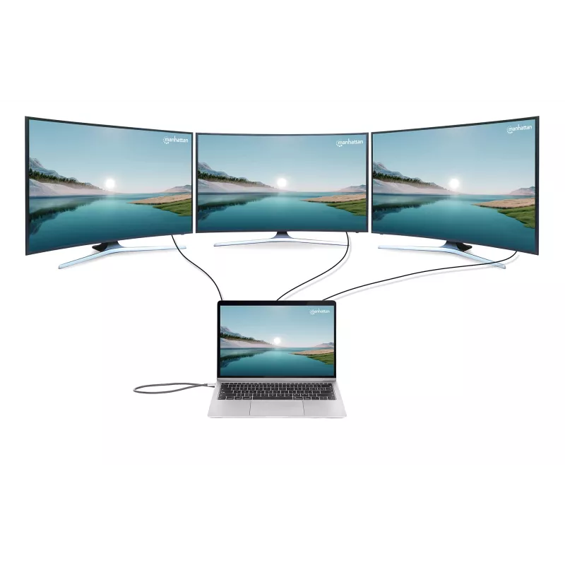 Dock/hub Manhattan USB-C 10 puertos 4K 60Hz Power Delivery
