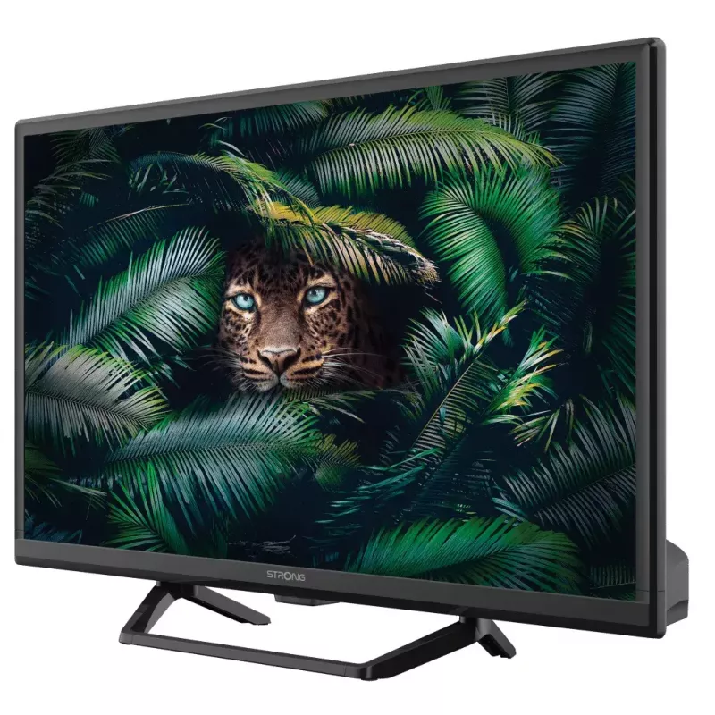 Televisor Strong SRT 24HE4023C 24
