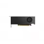 Tarjeta gráfica NVIDIA RTX 2000 - Ada Retail
