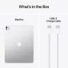 APPLE iPad Pro M5 - 13