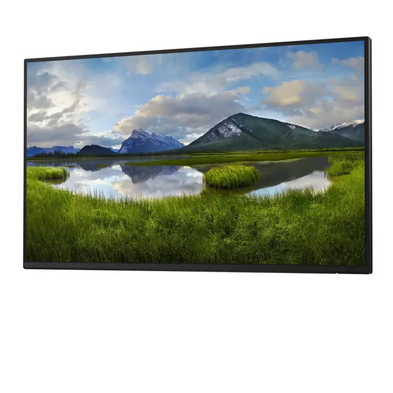 DELL Pro Plus P2425HE_WOST Monitor de ordenador 61 cm (24