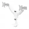 Neomounts DS65S-950WH2 brazo de monitor 24-34