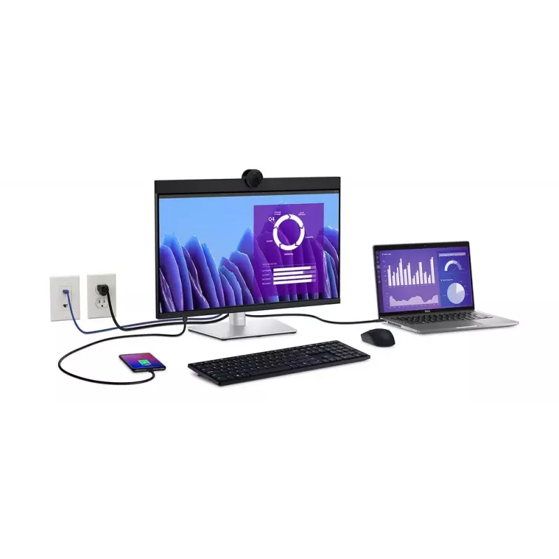 DELL P2424HEB 60,5 cm (23,8 pulgadas) LCD 1920 x 1080 píxeles Full HD