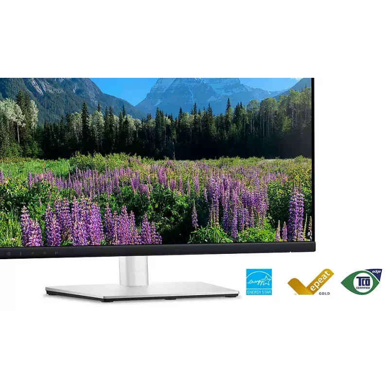 DELL P2424HEB 60,5 cm (23,8 pulgadas) LCD 1920 x 1080 píxeles Full HD