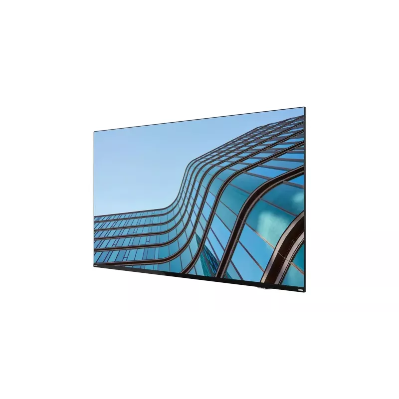 Monitor Lenovo ThinkVision E55 LFD 138,7 cm (54,6