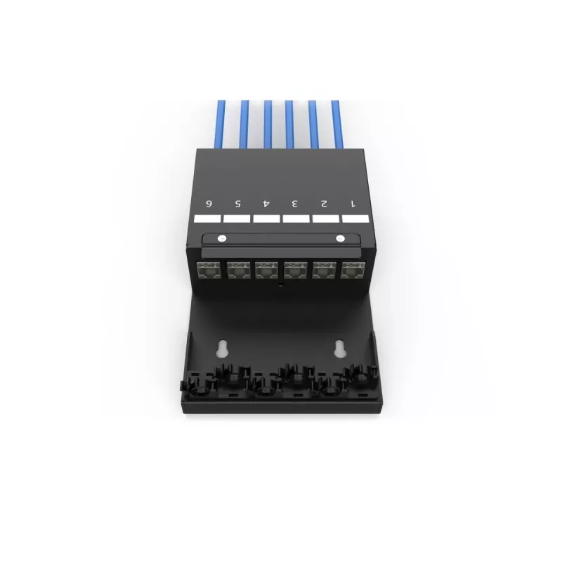 DIGITUS Consolidation Point Box – 6 puertos módulos Keystone con gestor de cables inteligente
