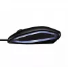 CHERRY GENTIX RATÓN CON CABLE ILUMINADO, negro, USB, ambidiestro, óptico, USB Type-A, 1000 DPI, negro