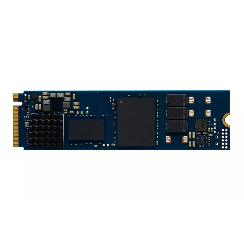 Kingston Technology 960G DC2000B PCIe 4.0 M.2 2280 SSD Enterprise