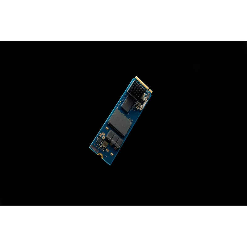 Kingston Technology 960G DC2000B PCIe 4.0 M.2 2280 SSD Enterprise