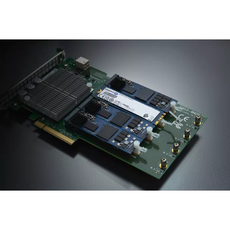 Kingston Technology 960G DC2000B PCIe 4.0 M.2 2280 SSD Enterprise