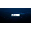 Kingston Technology 960G DC2000B PCIe 4.0 M.2 2280 SSD Enterprise