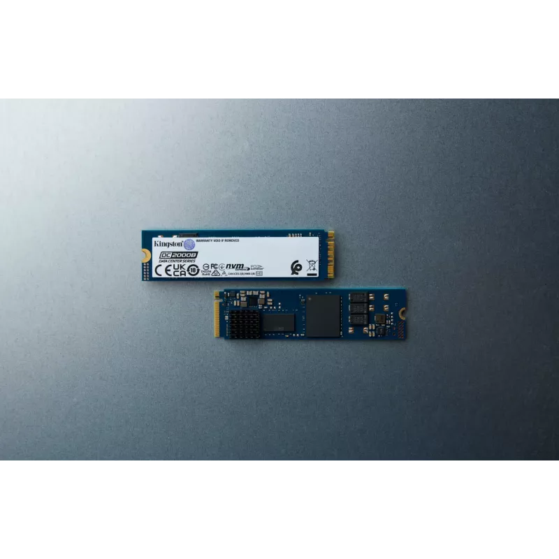 Kingston Technology 240G DC2000B PCIe 4.0 M.2 2280 SSD Enterprise