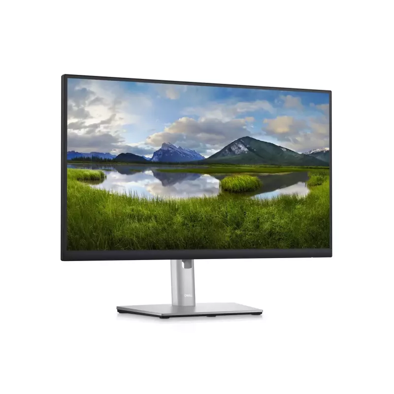 Monitor DELL P2423D 23,8 pulgadas LCD Quad HD 2560 x 1440
