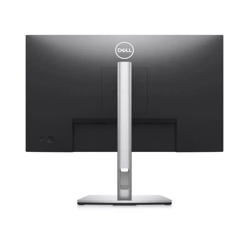 Monitor DELL P2423D 23,8 pulgadas LCD Quad HD 2560 x 1440