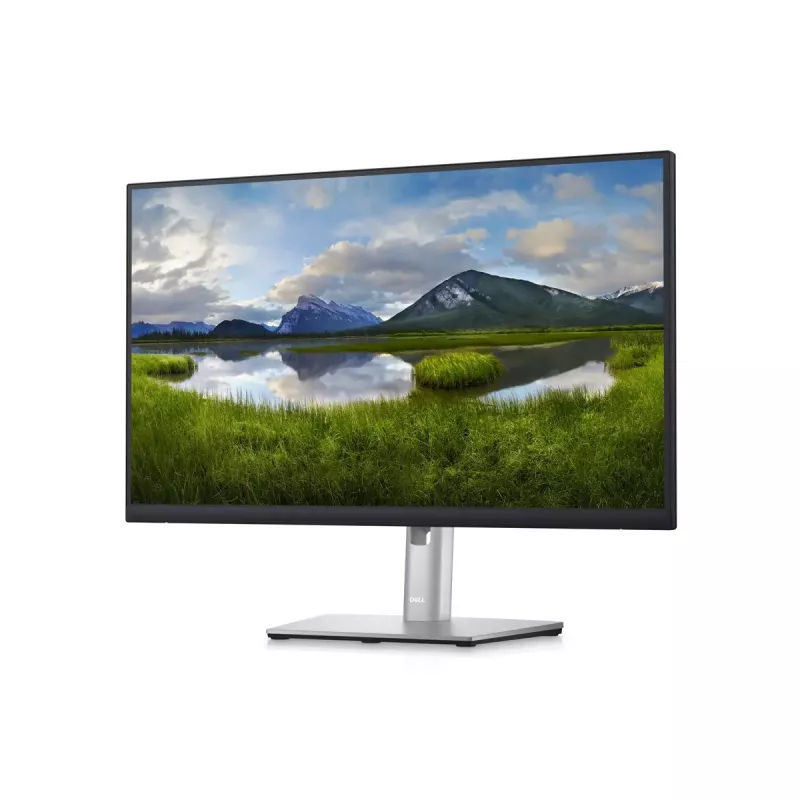 Monitor DELL P2423D 23,8 pulgadas LCD Quad HD 2560 x 1440