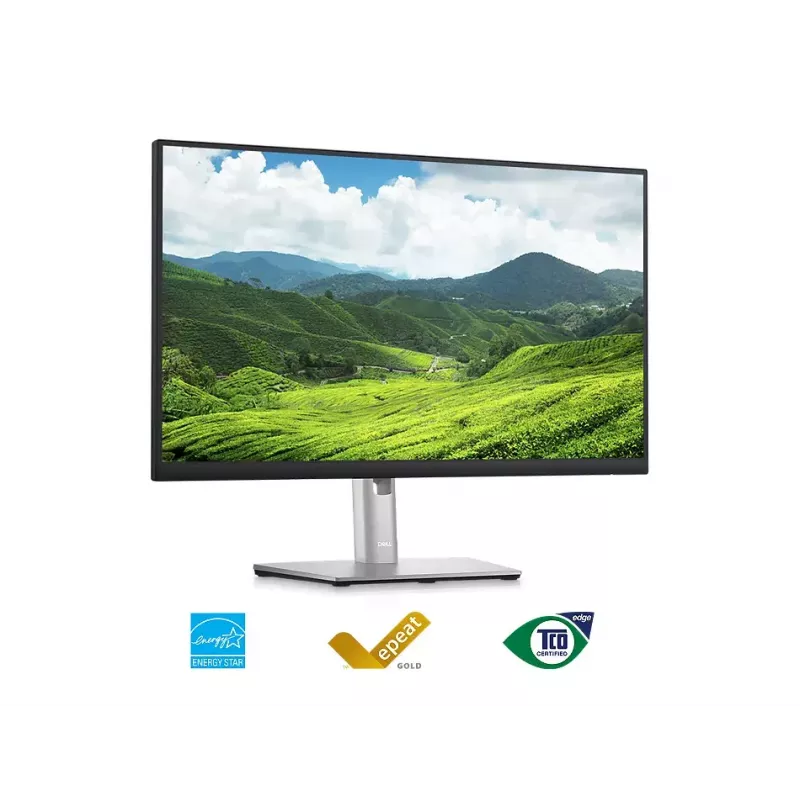 Monitor DELL P2423D 23,8 pulgadas LCD Quad HD 2560 x 1440