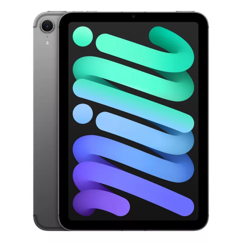 APPLE iPad Mini Wi-Fi + Cellular 256GB – Gris espacial