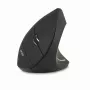 Acer HP.EXPBG.009 Ratón inalámbrico óptico RF 1600 DPI